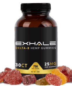 CBD Gummies 500mg Jar