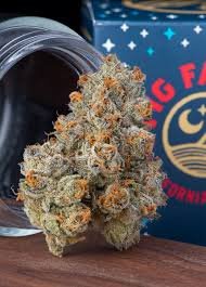Fig Farms Krypto Chronic 1