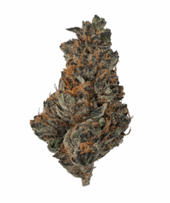 Zen Crusher Popcorn Flower